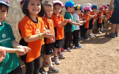 Infantil visita la granja
