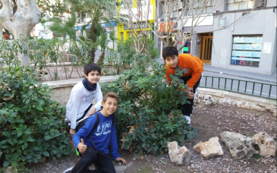 Investigamos las plantas