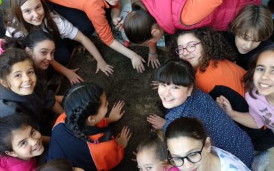 Creamos nuestro propio Huerto Escolar