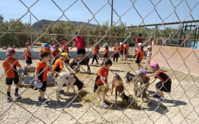 Infantil visita la granja un año más
