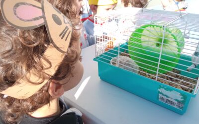 Hasta San Antón ¡fiestas son!…