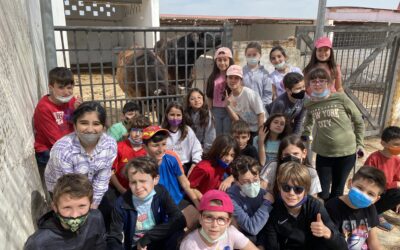 4º VIAJA A LA GRANJA ESCUELA