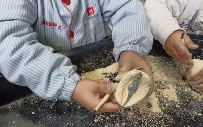 SOMOS PALEONTÓLOGOS